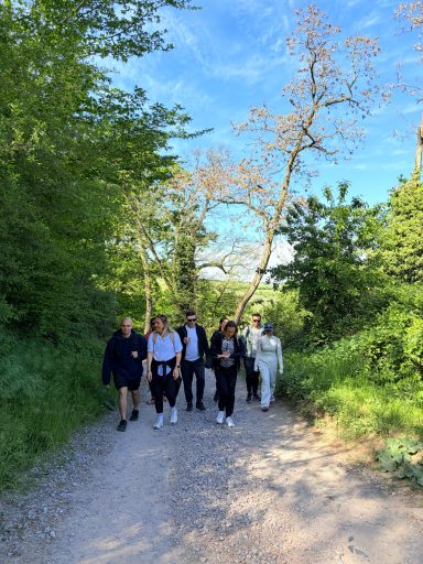 Gruppe von Personen, die einen bewachsenen Weg entlang gehen, umgeben von Bäumen und Grün.