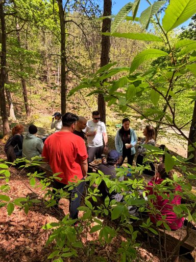Gruppe von Menschen im Wald, umgeben von Bäumen und Pflanzen, beim Austausch.