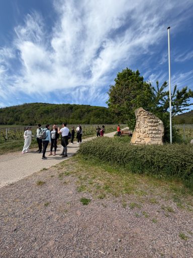 Menschen stehen auf einem Weg neben einem Felsen und Bäumen unter bewölktem Himmel.