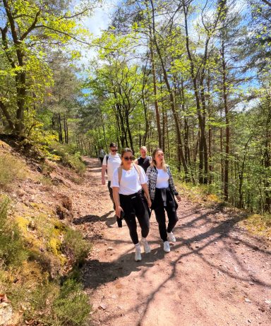 Gruppe von Menschen wandert auf einem Pfad im Wald bei sonnigem Wetter.